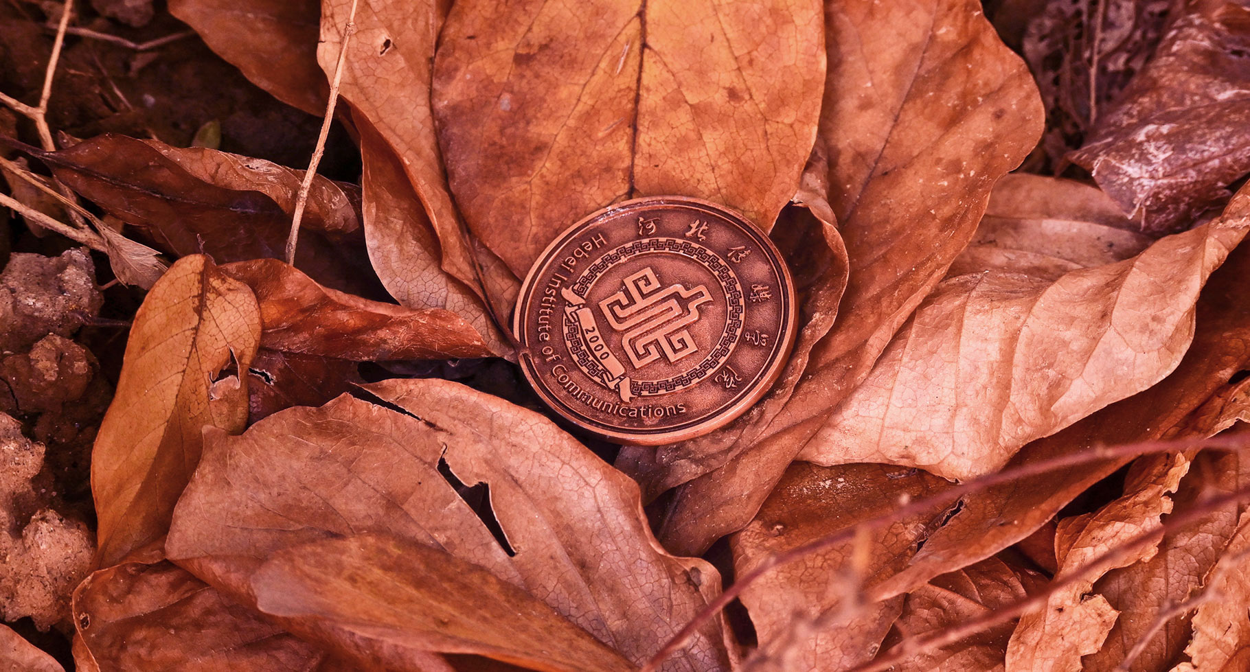 有追求就不平庸，有责任就很光荣